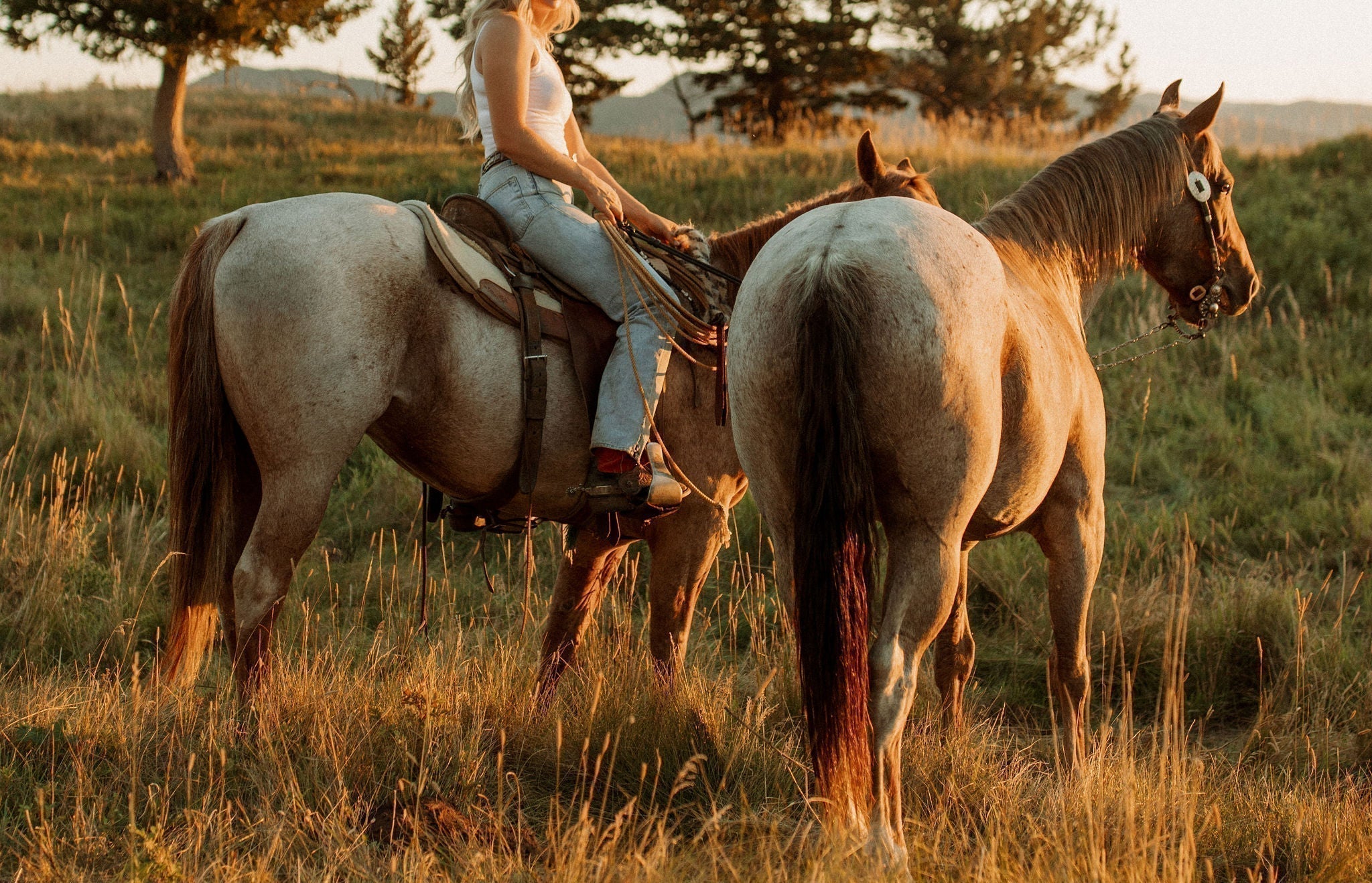 WHAT MAKES A PERFUME ‘WESTERN’?