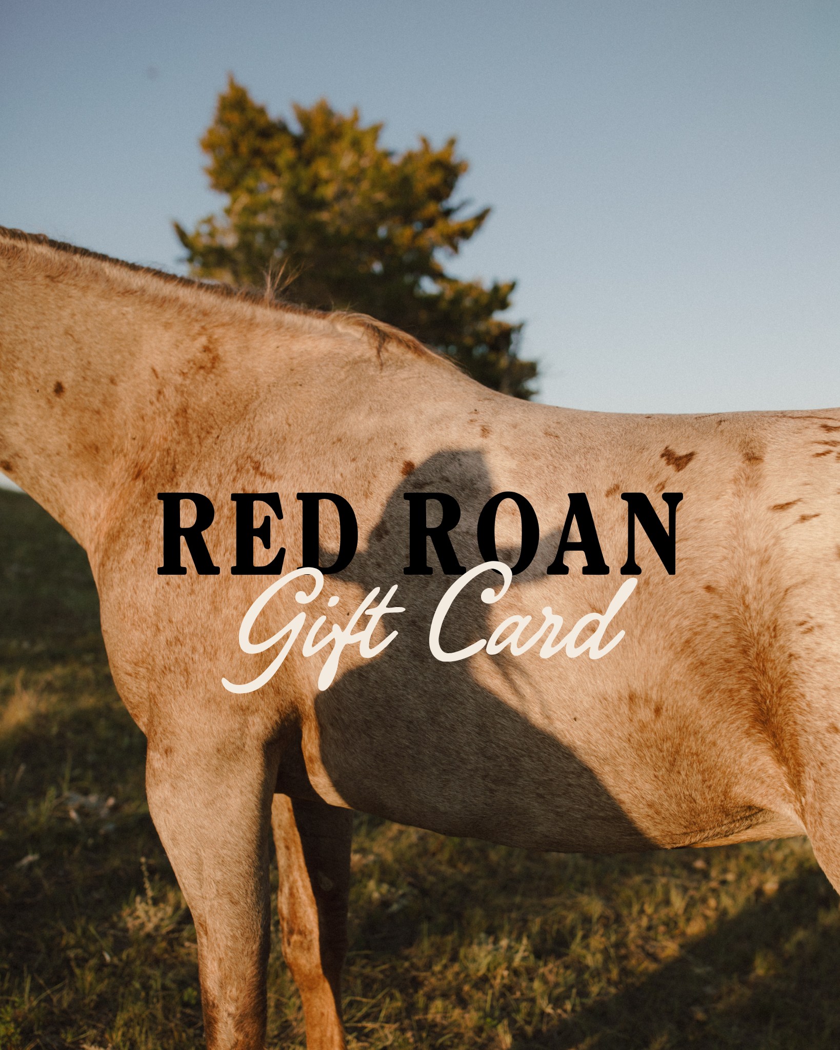 Red Roan Gift Card